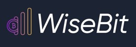 WiseBit.AI Logo